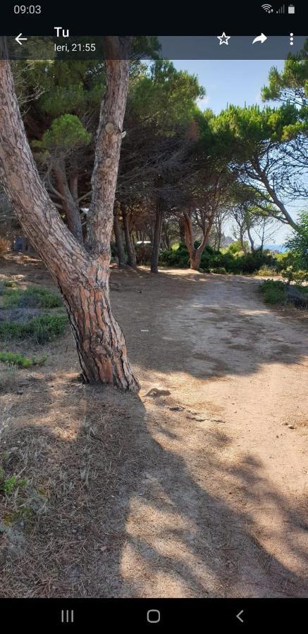 Vacanze In Natura Incontaminata "Casa Vacanza Francesca" Isola Rossa Exterior photo